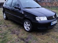 Obraz 1