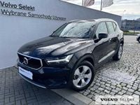 Obraz 3