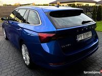 używany Skoda Octavia Style Salon PL