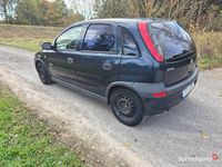 Obraz 3