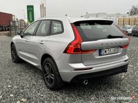 używany Volvo XC60 XC 60D4 Momentum FV23% II (2017-)