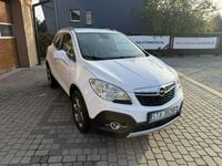 Obraz 3