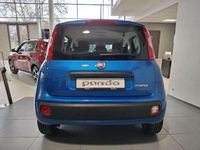 Nowe Fiat Panda Icon 70 KM (51 kW) 2025 Lakier metalizowany niebieski italia Hatchback