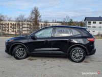 używany Ford Escape 1.5 2wd