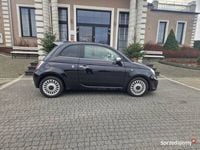 Obraz 3