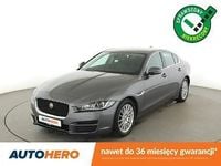 Używany Jaguar XE Prestige 163 KM (119 kW) 2017 Szary Sedan/Limuzyna