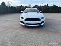 używany Ford Mustang GT GT 2017 350 style