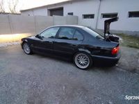 Obraz 3