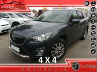 Obraz 1