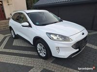 Obraz 2