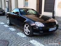 Obraz 1