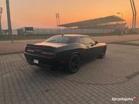 Używany Dodge Challenger SXT 305 KM (224 kW) 2017 Coupe