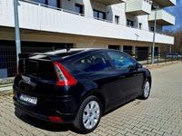 Obraz 3
