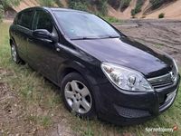 Obraz 1