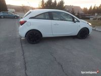 Obraz 3