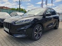 Obraz 3