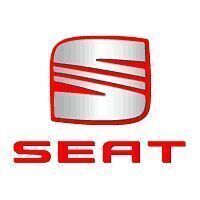 Cinza Usado 2020 Seat Ibiza Style | € 19.900 (Caro) - Imagem 1/1