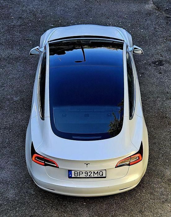 Usado Tesla Model 3 Standard Range 175 kW (238 HP) 2019 Sedan