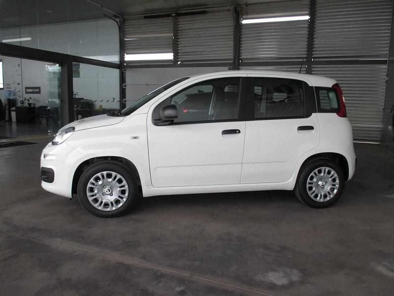 Usado Fiat Panda 70 HP (51 kW) 2025 Branco Citadino