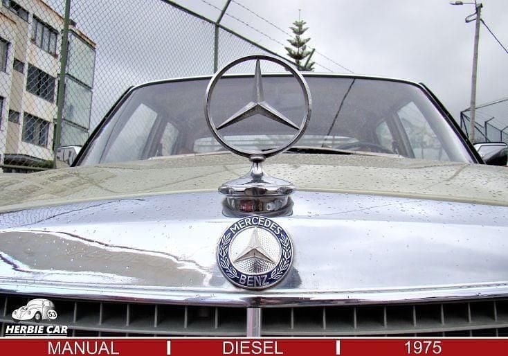 Usado Mercedes 220 1975 Verde