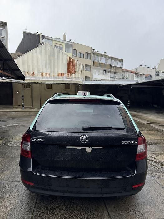 Usado Skoda Octavia 2019 Sedan