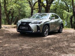 Lexus UX 250h