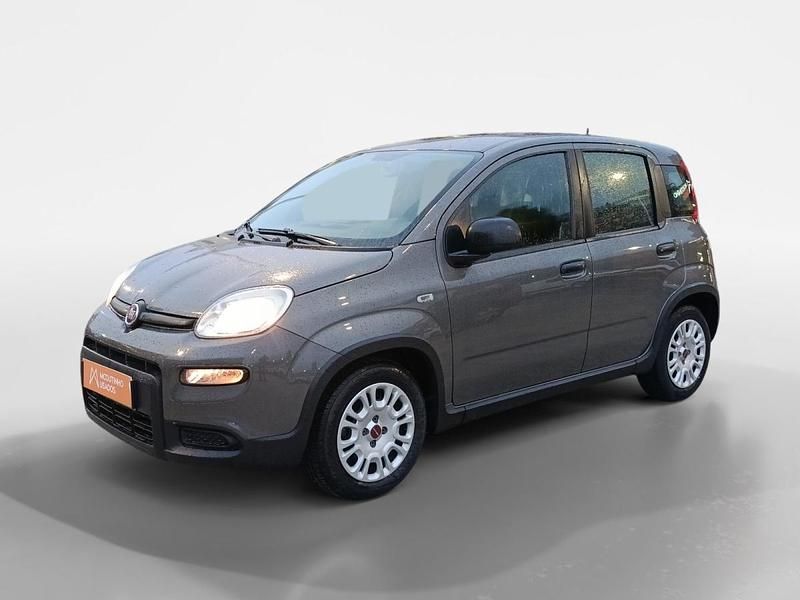 Usado Fiat Panda 70 HP (51 kW) 2024 Cinzento Citadino