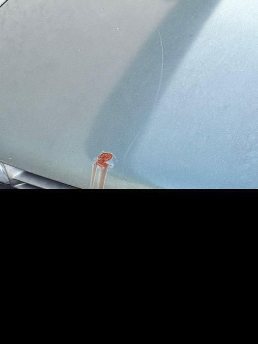 Usado Toyota Corolla 1989 Carrinha