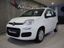 brugt Fiat Panda 1.2 LOUNGE
