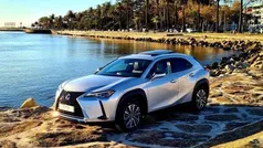Cinzento Usado 2021 Lexus UX 300e SUV | € 34.950