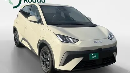 Novo BYD Dolphin Surf 73 kW (100 HP) 2025 Outra Citadino