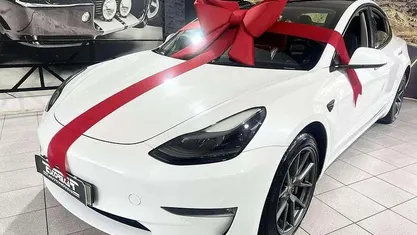 Usado Tesla Model 3 Long Range AWD 353 kW (480 HP) 2021 Sedan