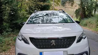 Usado Peugeot 2008 110 HP (80 kW) 2016 SUV
