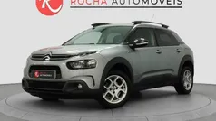 Cinza Usado 2019 Citroën C4 Cactus Feel Citadino | € 12.749 (Preço justo)