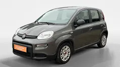 Usado 2024 Fiat Panda Red Sedan | € 14.554