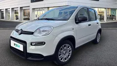 Branco Novo 2025 Fiat Panda Citadino | € 16.000 (Preço justo)