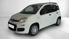 Branco Novo 2025 Fiat Panda | € 15.900 (Preço justo)