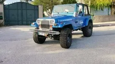 Usado 1994 Jeep Wrangler SUV | € 29.950