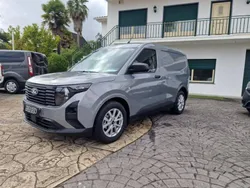 Cinzento Novo 2024 Ford Transit | € 18.700 (Bom preço)