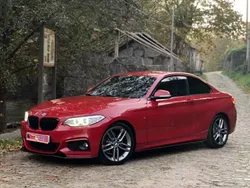 Vermelho Usado 2015 BMW 218 Coupé | € 24.990 (Caro)