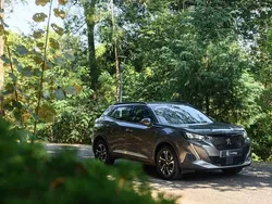 Outro Usado 2020 Peugeot 2008 Allure SUV | € 16.900 (Preço elevado)