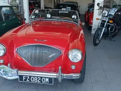 Vermelho Usado 1955 Austin Healey 100 Cabrios | € 95.000