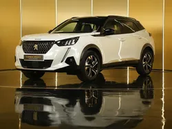 Branco Usado 2020 Peugeot 2008 SUV | € 21.500 (Preço elevado)