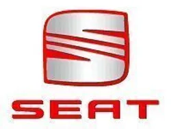 Cinza Usado 2020 Seat Ibiza Style | € 19.900 (Preço elevado)