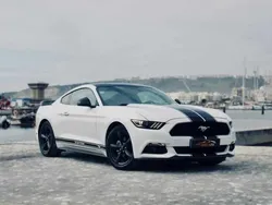 Branco Usado 2018 Ford Mustang Bullitt Coupé | € 42.500