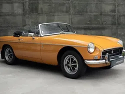 Outra Usado 1971 MG B | € 40.900