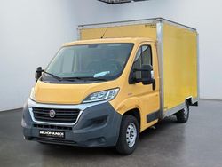 Amarelo Usado 2019 Fiat Ducato Van | € 17.750