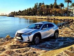 Cinzento Usado 2021 Lexus UX 300e SUV | € 34.950