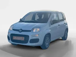 Branco Usado 2022 Fiat Panda Citadino | € 10.250 (Preço justo)