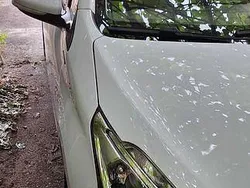Usado 2019 Peugeot 208 Citadino | € 9.750 (Bom preço)